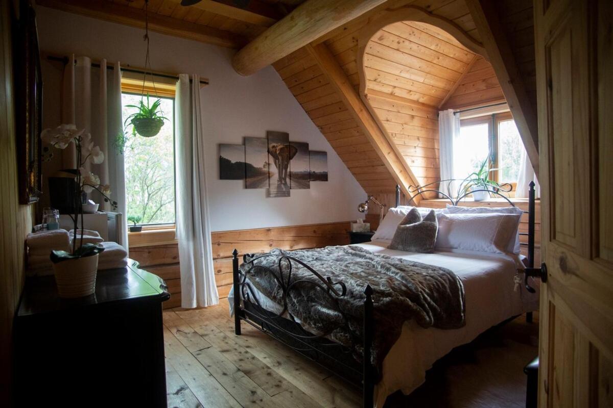 Hebergement "La Maison En Bois Rond" Sainte-Marie Rom bilde